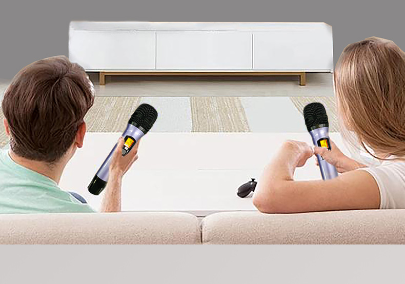 臻愛(ài)經(jīng)典套餐5.1客廳影K影院